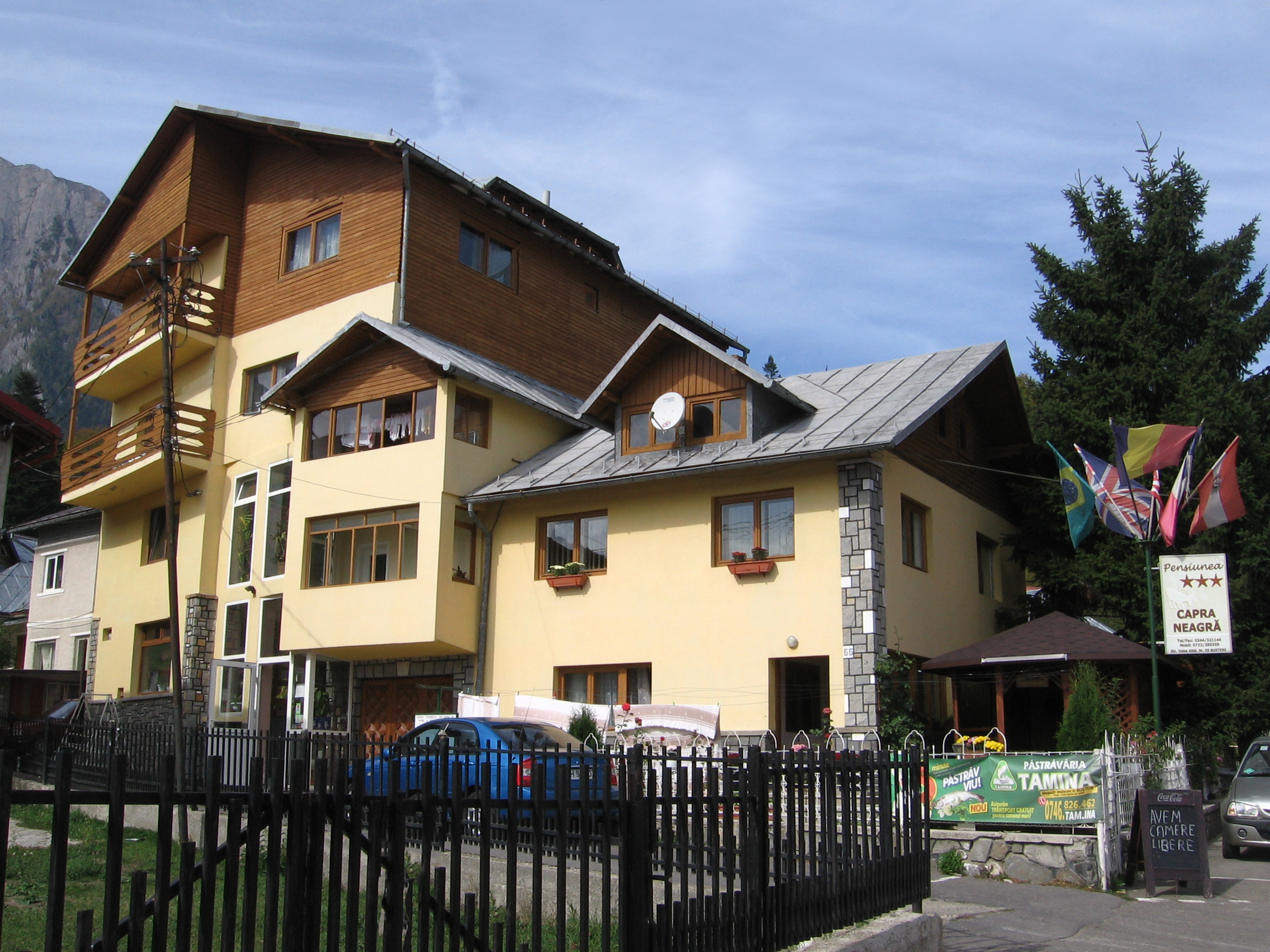 Domnul Director Constantin Spurcaciu